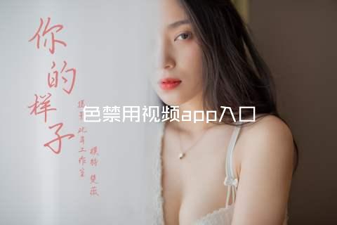 色禁用视频app入口